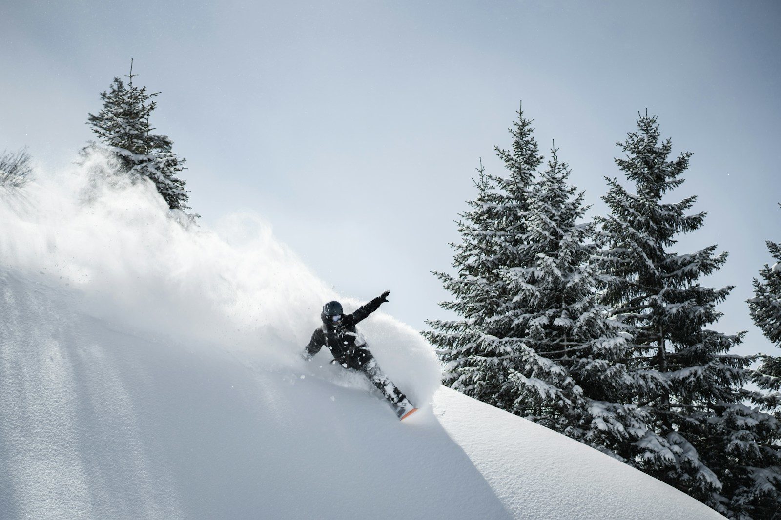 Splitboard